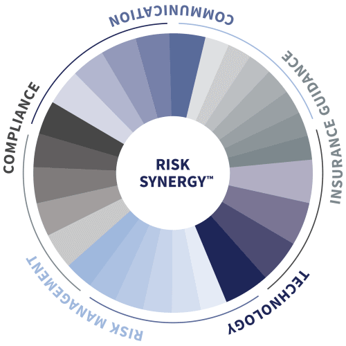 TFIG-Risk-Synergy-TM TFIG-Risk-Synergy-TM